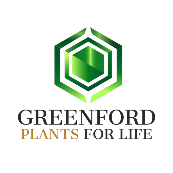 Greenford Plants Store